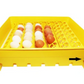 Automatic incubator 80W - up to 88 poultry eggs – 