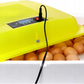 Automatic incubator 80W - up to 88 poultry eggs – 