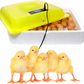 Automatic incubator 80W - up to 88 poultry eggs – 