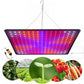 LED plant growth lamp with suspension elements Model: 225 LED 1000W