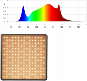 LED plant growth lamp with suspension elements Model: 225 LED 1000W 