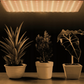 LED plant growth lamp with suspension elements Model: 225 LED 1000W 