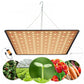 LED plant growth lamp with suspension elements Model: 225 LED 1000W 