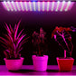 LED plant growth lamp with suspension elements Model: 225 LED – 