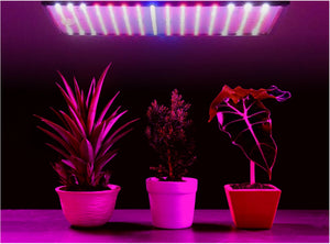 LED plant growth lamp with suspension elements Model: 225 LED – 