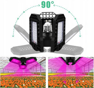 Modèle de lampe LED pour plantes : YH-WL-10-108. Puissance des LED : 40 W.