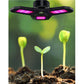 Lámpara LED para plantas modelo: YH-WL-10-108 Potencia de LED: 40W 