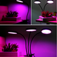 Plant lamp with 4 lamps 4x78 LED 