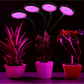 Plant lamp with 4 lamps 4x78 LED 