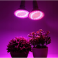 Lámpara vegetal con bombilla 20W Modelo: 200LED 