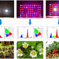 Lámpara LED para crecimiento de plantas Heckermann 2000W, espectro completo + kit de suspensión Modelo: QB2000 