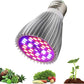 E27 bulb for plants 30W + lamp holder 230V Model: MDA-PG03 