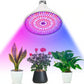 Lámpara vegetal con clip Modelo: 2 x 290LED - potencia 60W (2 x 30W) 