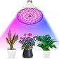 Lámpara vegetal con clip 30W Modelo: 290LED 