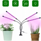 Lampe pour plantes 80 LED 36W - 4 têtes flexibles 360°